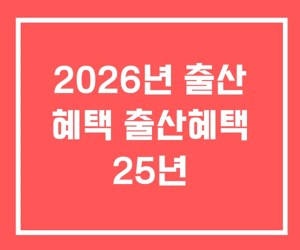 2026년 출산 혜택 출산혜택 25년