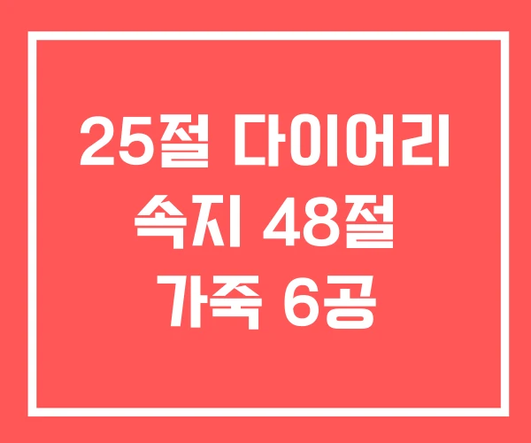 25절 다이어리 속지 48절 가죽 6공 25절 다이어리 속지 48절 가죽 6공