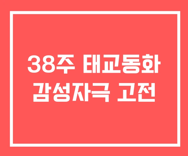 38주 태교동화 감성자극 고전