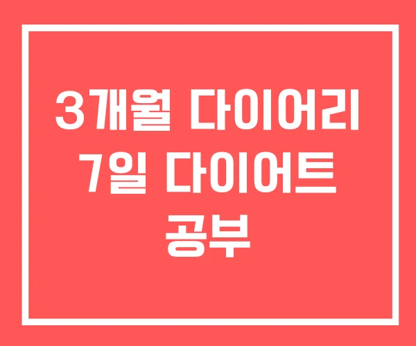 3개월 다이어리 7일 다이어트 공부 3개월 다이어리 7일 다이어트 공부