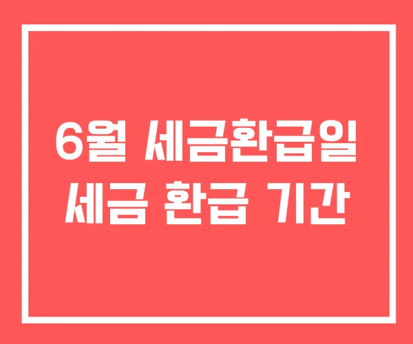 6월 세금환급일 세금 환급 기간