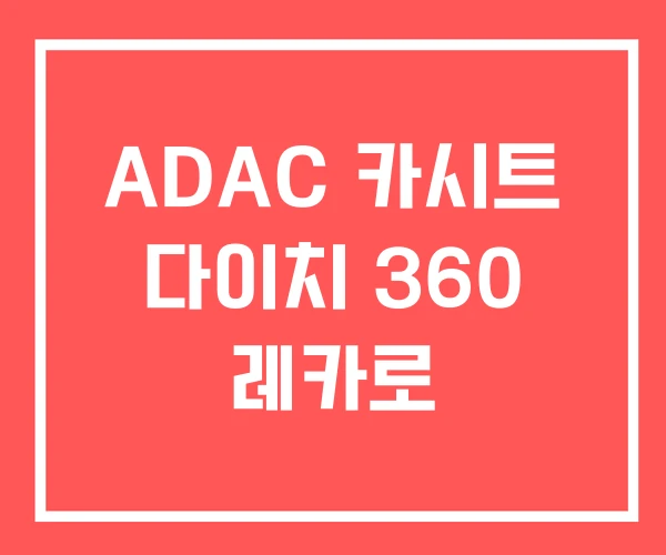ADAC 카시트 다이치 360 레카로