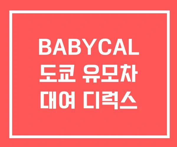 BABYCAL 도쿄 유모차 대여 디럭스