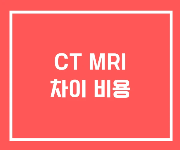 CT MRI 차이 비용