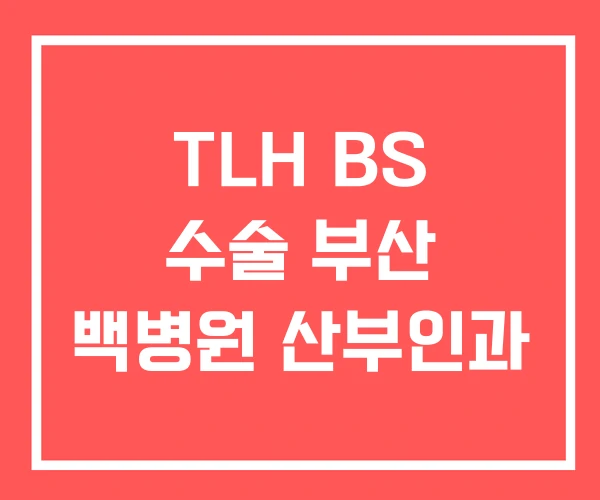 TLH BS 수술 부산 백병원 산부인과