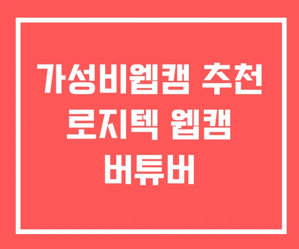 가성비웹캠 추천 로지텍 웹캠 버튜버