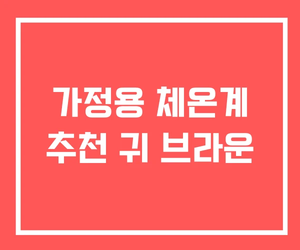 가정용 체온계 추천 귀 브라운