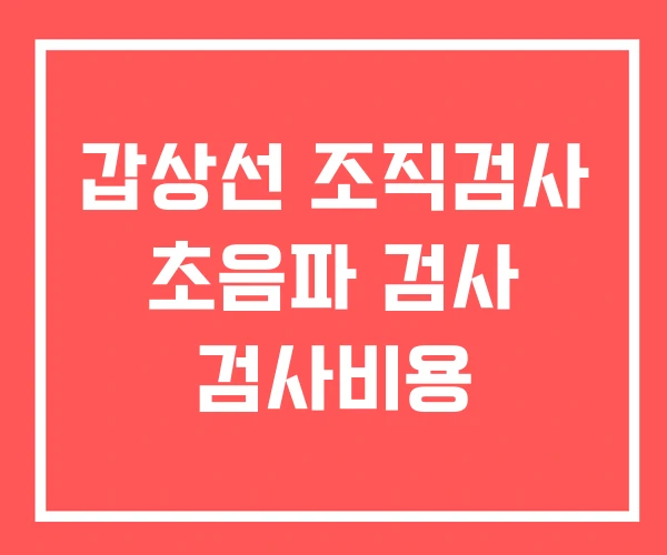 갑상선 조직검사 초음파 검사 검사비용
