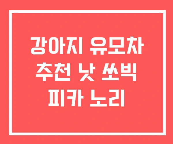 강아지 유모차 추천 낫 쏘빅 피카 노리