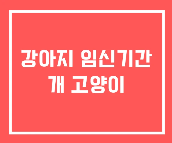 강아지 임신기간 개 고양이