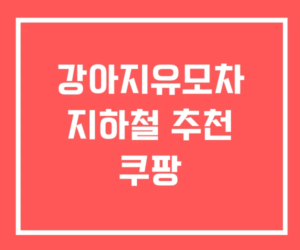 강아지유모차 지하철 추천 쿠팡