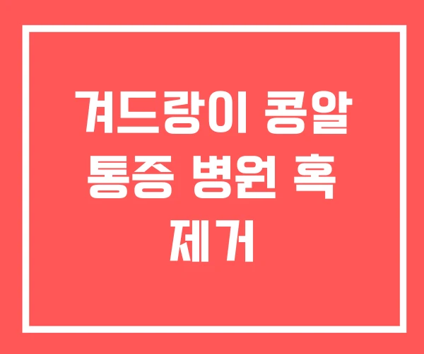 겨드랑이 콩알 통증 병원 혹 제거