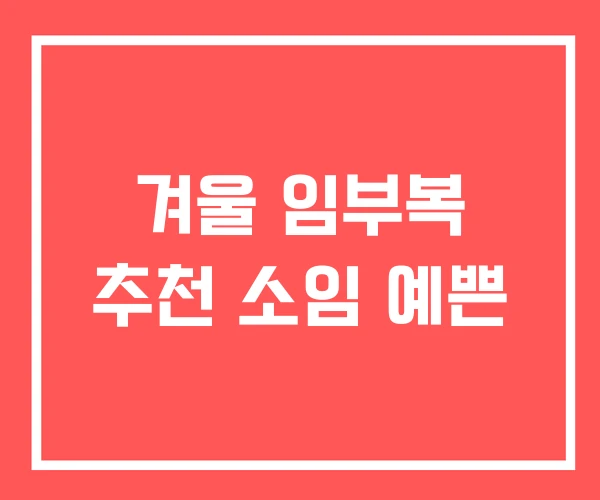 겨울 임부복 추천 소임 예쁜