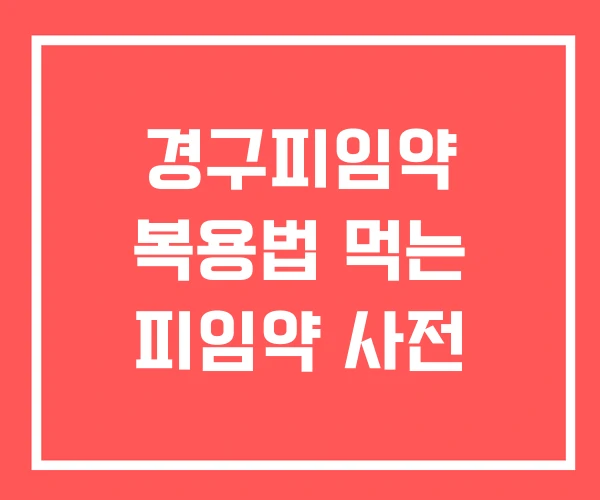 경구피임약 복용법 먹는 피임약 사전