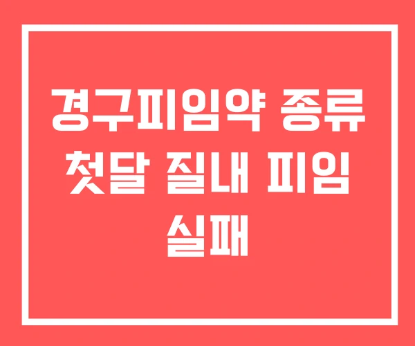 경구피임약 종류 첫달 질내 피임 실패