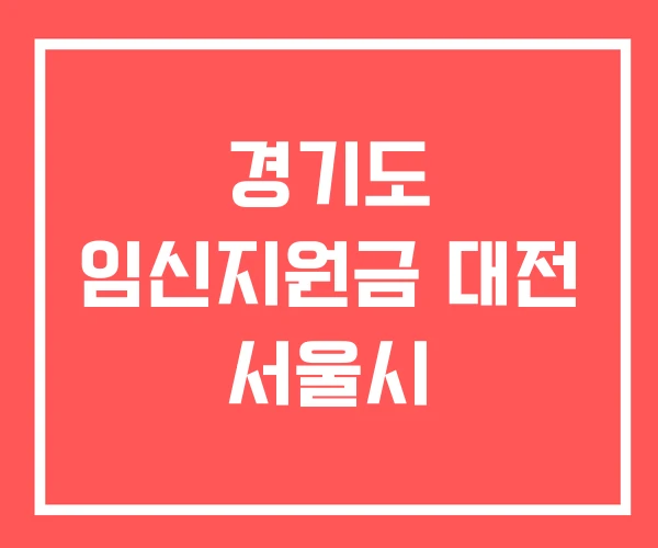 경기도 임신지원금 대전 서울시