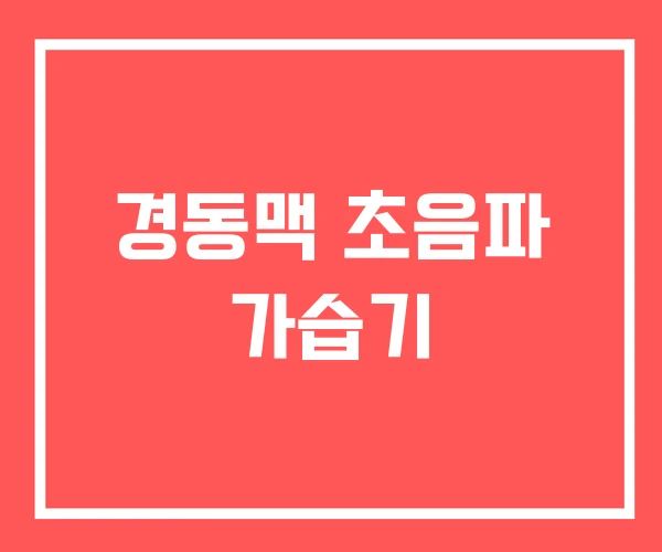 경동맥 초음파 가습기