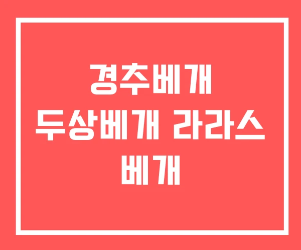 경추베개 두상베개 라라스 베개