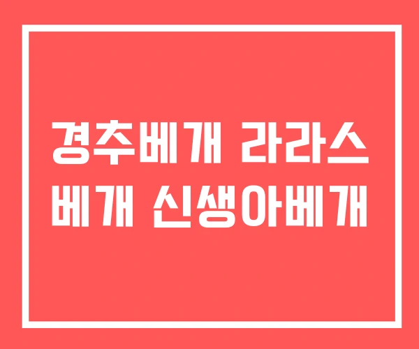 경추베개 라라스 베개 신생아베개