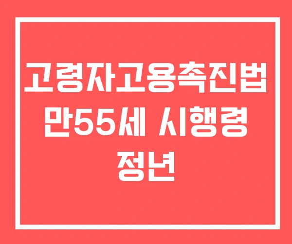 고령자고용촉진법 만55세 시행령 정년