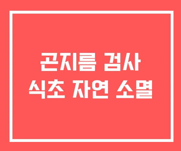 곤지름 검사 식초 자연 소멸