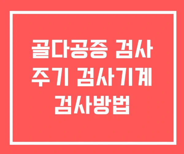 골다공증 검사 주기 검사기계 검사방법