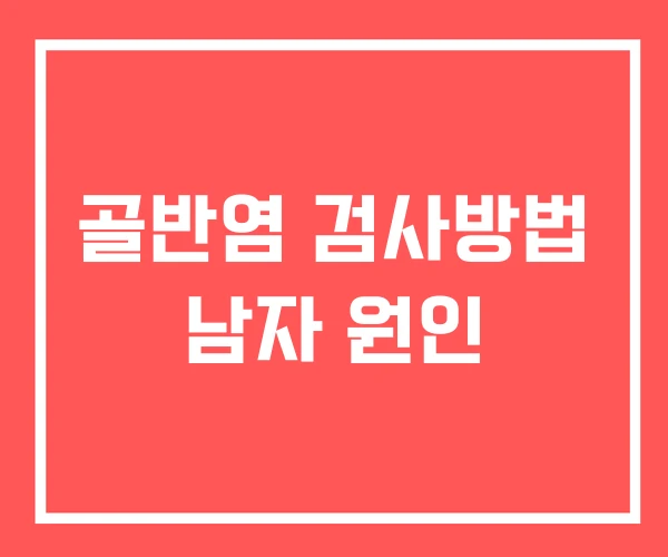 골반염 검사방법 남자 원인