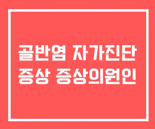 골반염 자가진단 증상 증상의원인