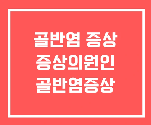 골반염 증상 증상의원인 골반염증상