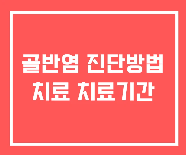 골반염 진단방법 치료 치료기간