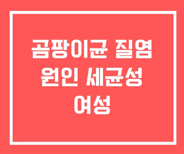 곰팡이균 질염 원인 세균성 여성