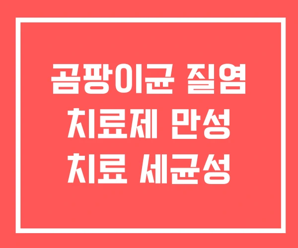 곰팡이균 질염 치료제 만성 치료 세균성