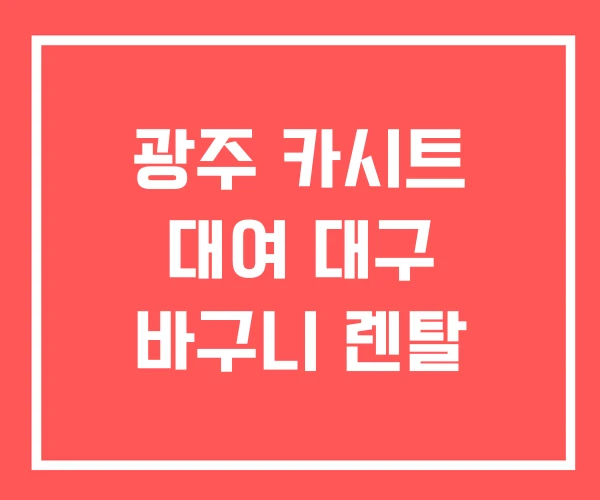 광주 카시트 대여 대구 바구니 렌탈