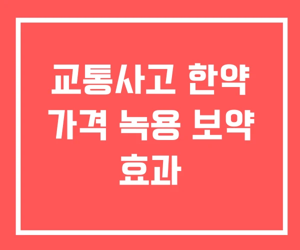 교통사고 한약 가격 녹용 보약 효과