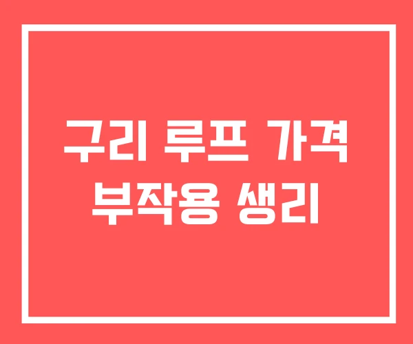 구리 루프 가격 부작용 생리