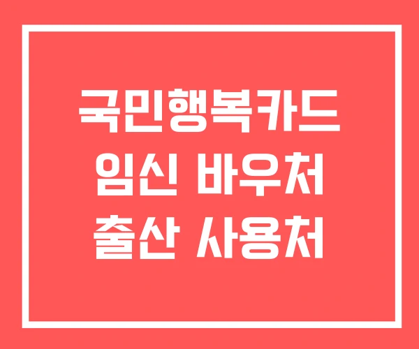 국민행복카드 임신 바우처 출산 사용처