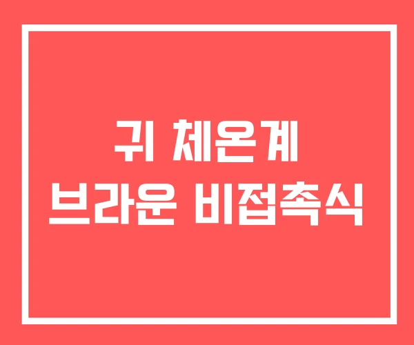 귀 체온계 브라운 비접촉식