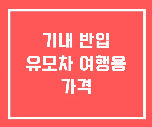 기내 반입 유모차 여행용 가격
