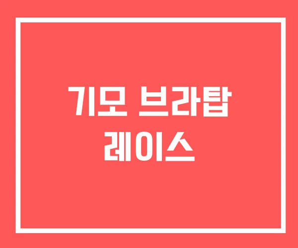 기모 브라탑 레이스