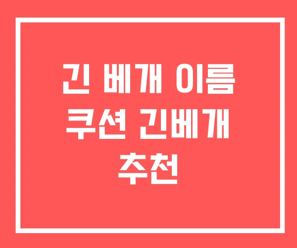 긴 베개 이름 쿠션 긴베개 추천