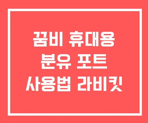 꿈비 휴대용 분유 포트 사용법 라비킷