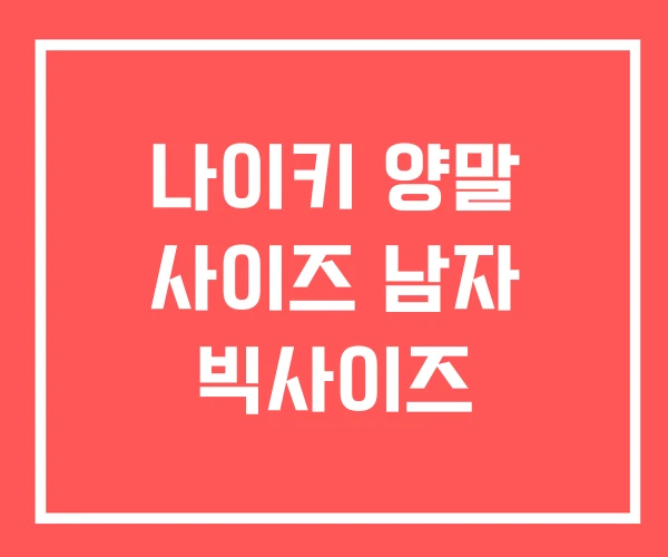 나이키 양말 사이즈 남자 빅사이즈