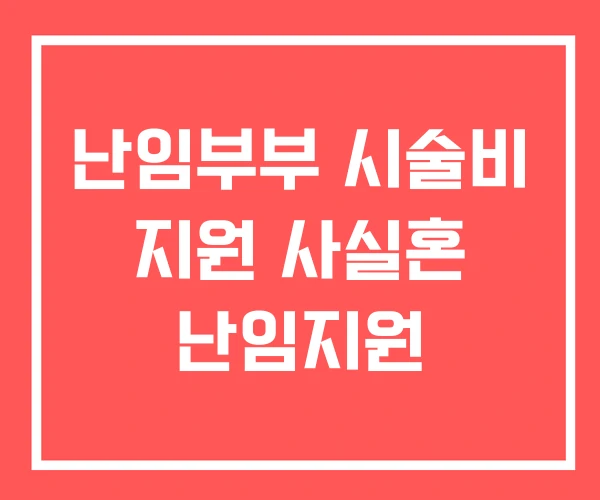 난임부부 시술비 지원 사실혼 난임지원