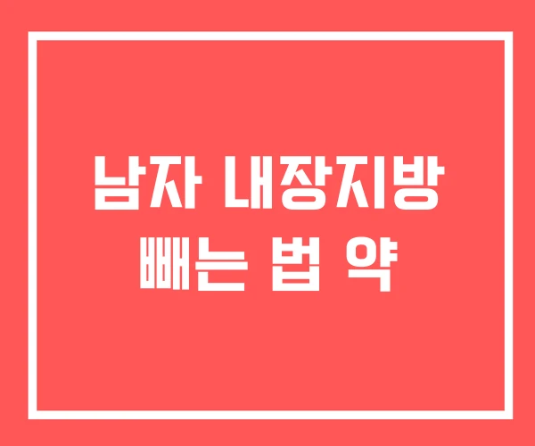 남자 내장지방 빼는 법 약