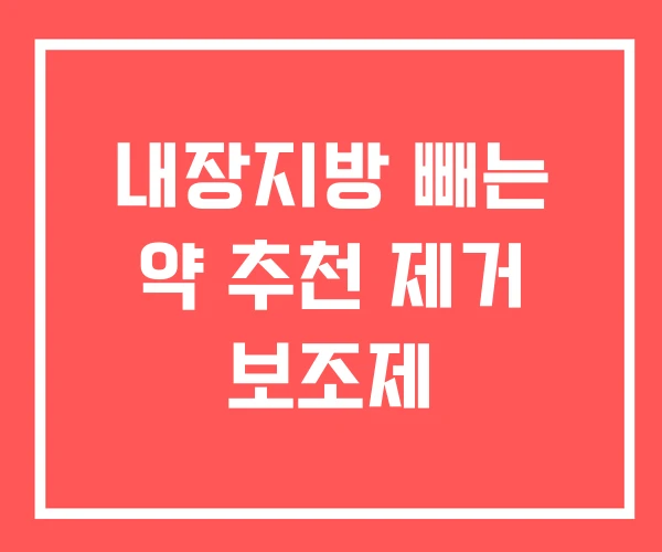 내장지방 빼는 약 추천 제거 보조제