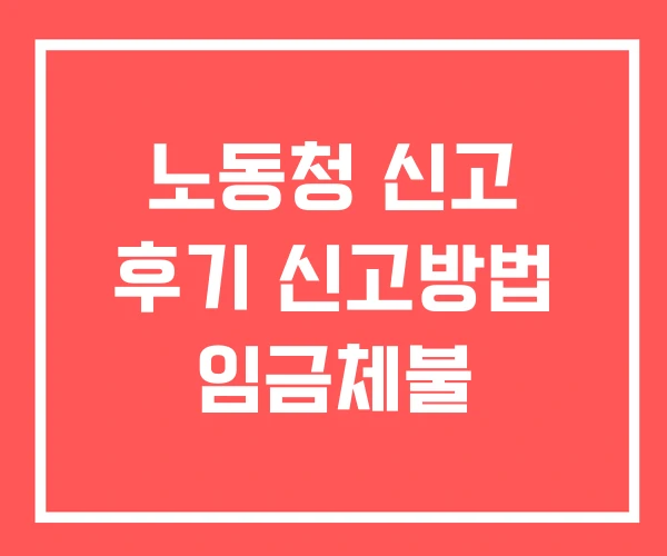 노동청 신고 후기 신고방법 임금체불