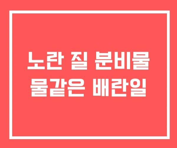 노란 질 분비물 물같은 배란일