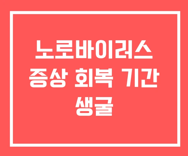 노로바이러스 증상 회복 기간 생굴