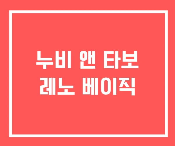누비 앤 타보 레노 베이직