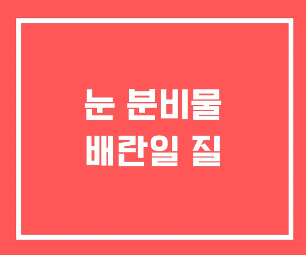 눈 분비물 배란일 질